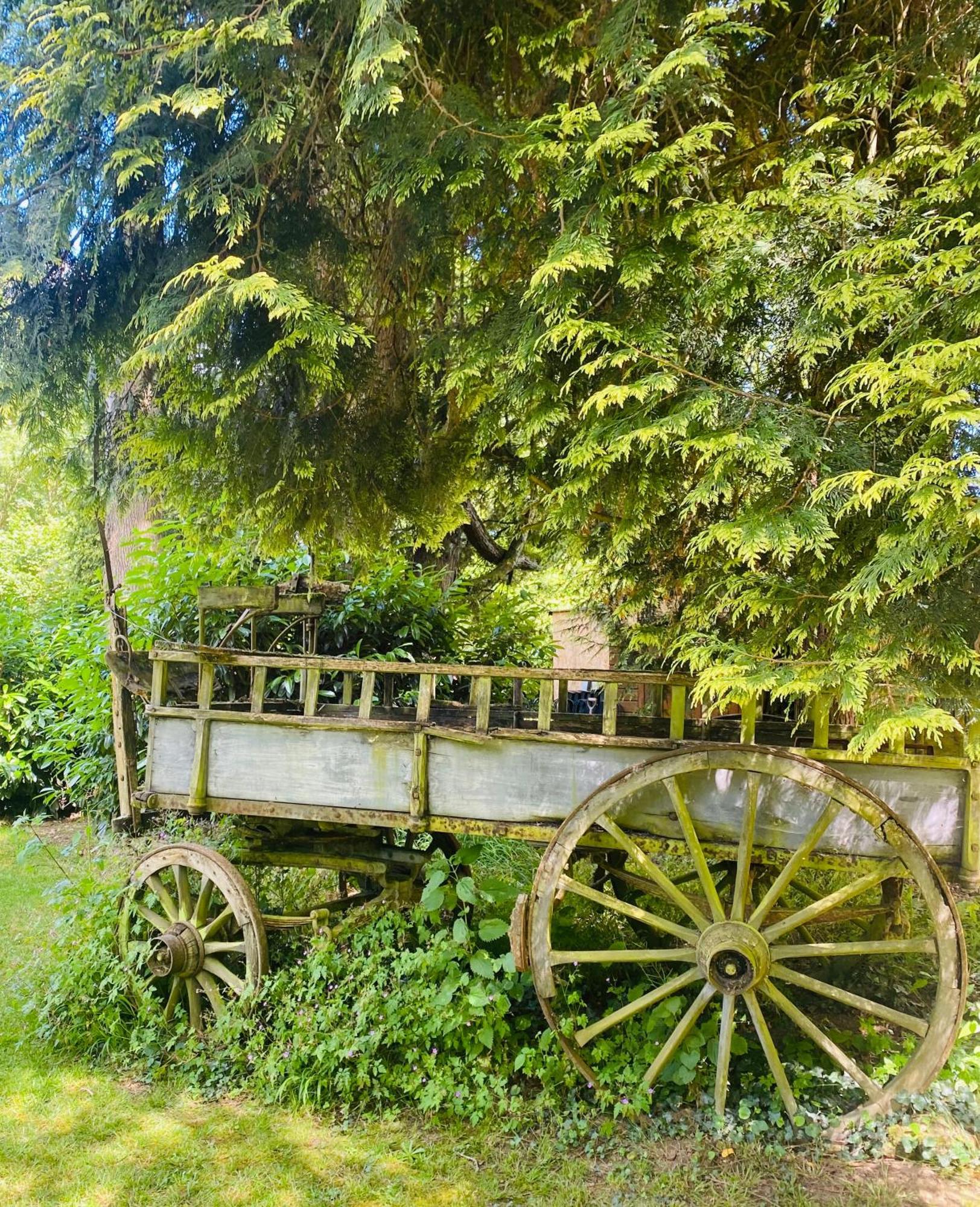 Moulin Du Fontcourt Bed & Breakfast Chasseneuil-sur-Bonnieure Exterior foto