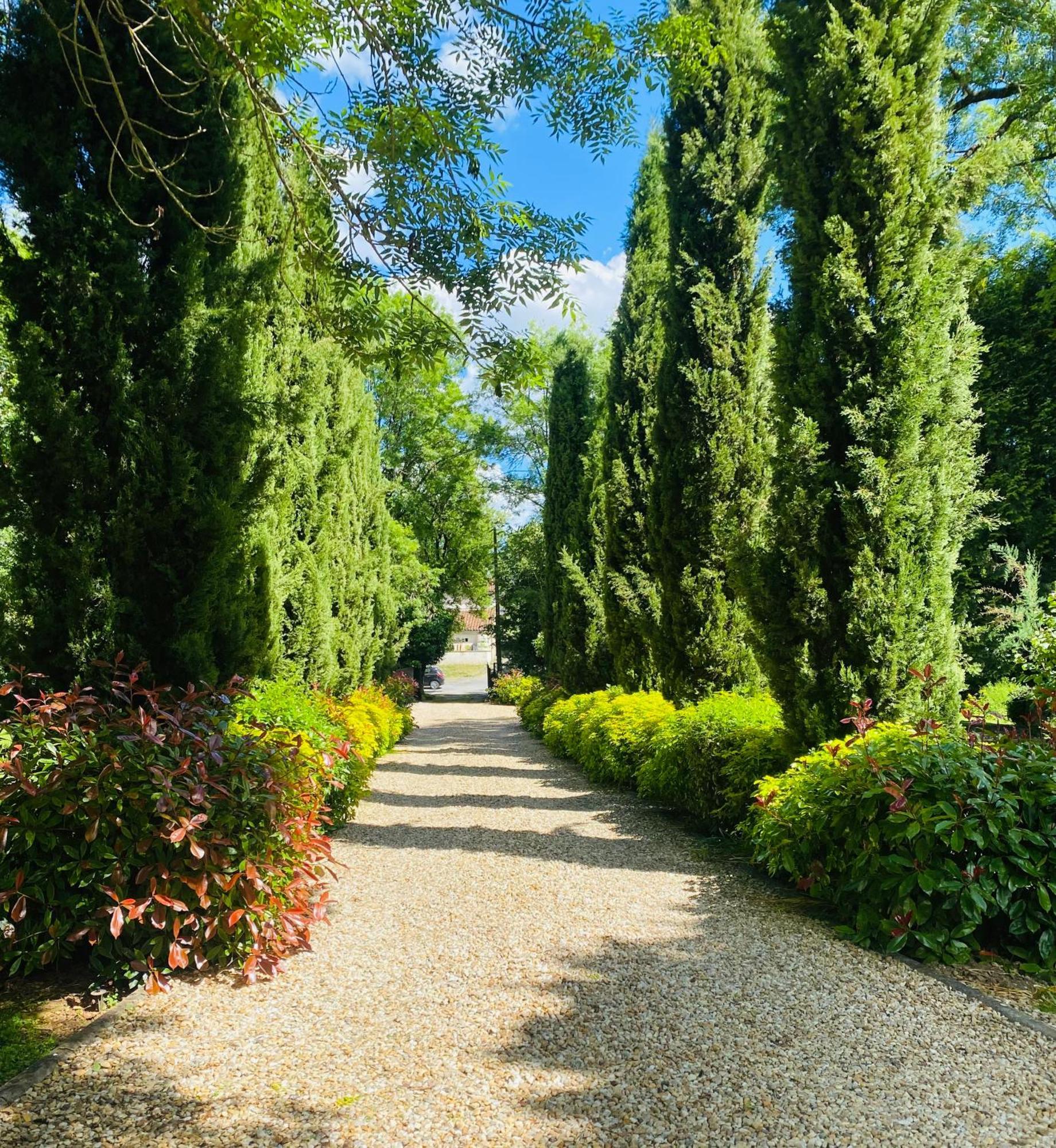 Moulin Du Fontcourt Bed & Breakfast Chasseneuil-sur-Bonnieure Exterior foto