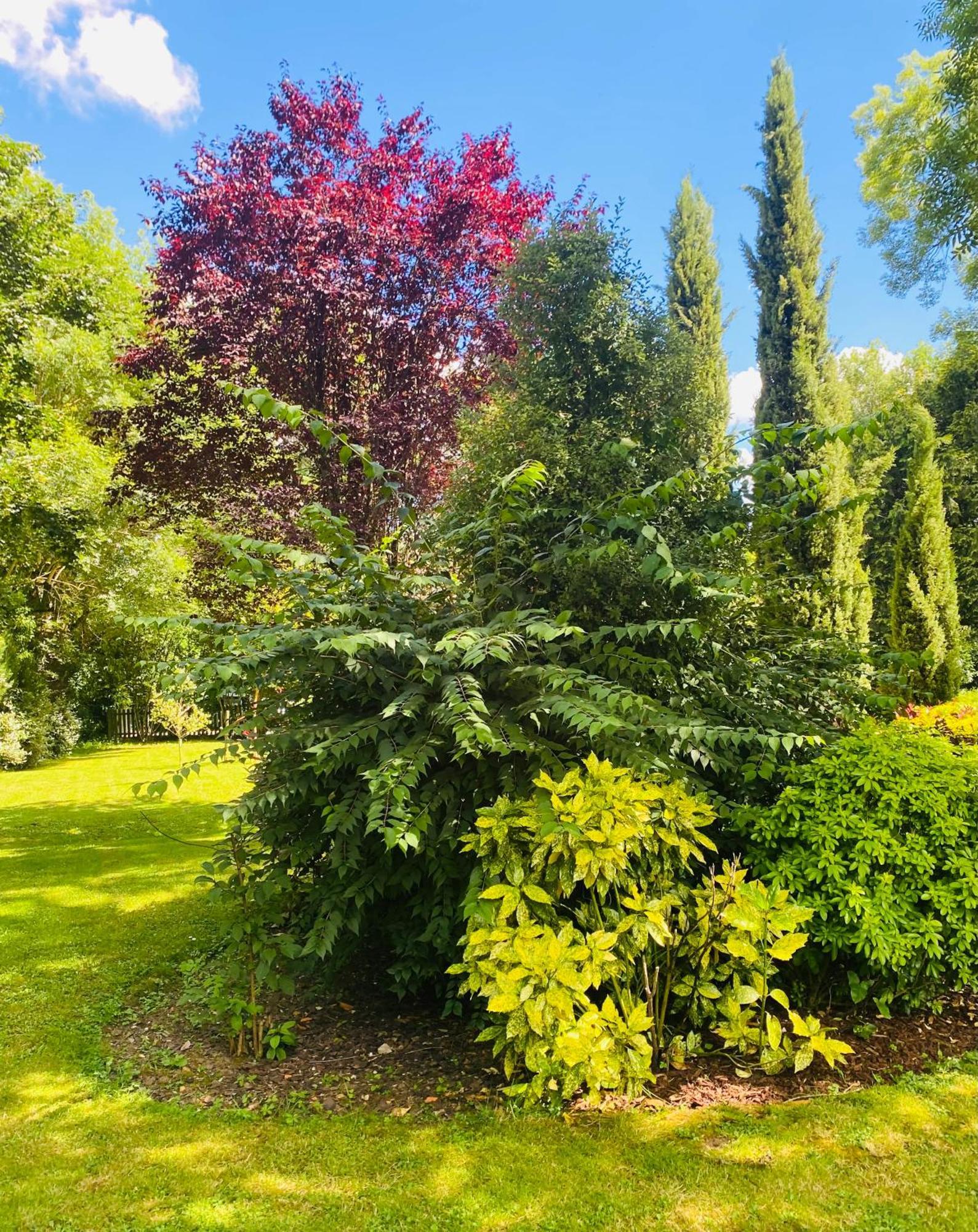 Moulin Du Fontcourt Bed & Breakfast Chasseneuil-sur-Bonnieure Exterior foto